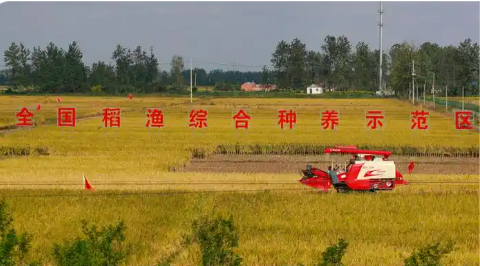 江蘇：“新農人”賦能鄉村振興