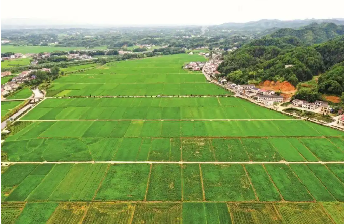 以縣域為統籌單元，以鄉鎮為基本實施單元 湖南深入推進全域土地綜合整治