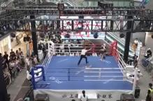 文商旅體多業態互補為賽事賦能 “賽事經濟”激活多場景消費新動能
