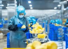 冷凍飲品總體食品安全狀況穩定向好