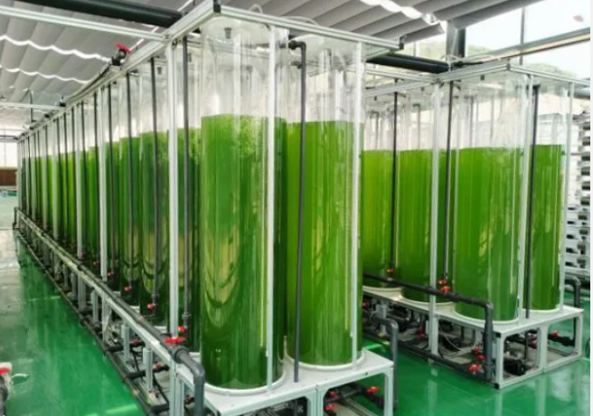 20250618094139507.png 20250618094139507.png