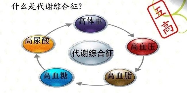 振東五和養生酒：小酌之間，悄悄助力“三高”管理