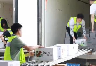 從內銷到出口 冷鏈物流讓水果實現才下“枝頭”就上“舌尖”