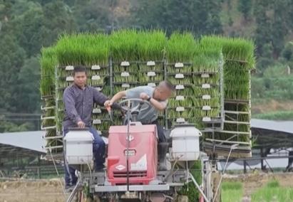 “機械+科技”、稻鴨共養、移動菇房 “智慧”引擎激活鄉村振興新動能