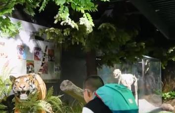 “百獸之王”變身文旅IP 沉浸式體驗帶火生態游