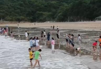 從海濱休閑到草原狂歡：暑期文旅市場多點開花 新業態激發消費新活力