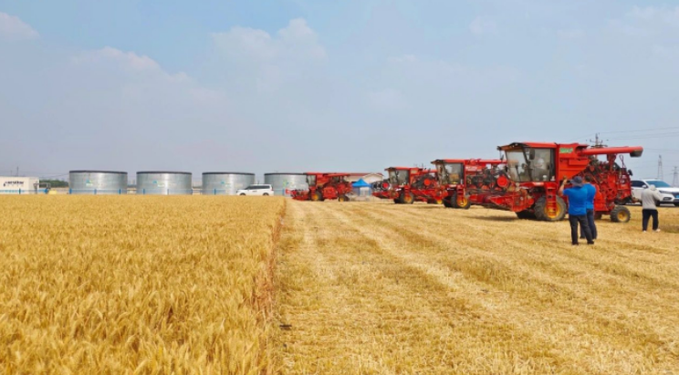 中國中化護航“三夏”進行時