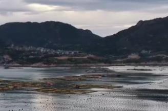 海上田園迎豐收 特色養殖孕育富民產業
