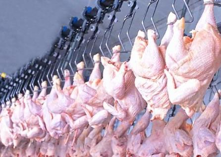 雞肉供應充足物美價廉