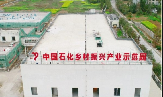 中國石化定點幫扶工作連續八年獲評最高等次