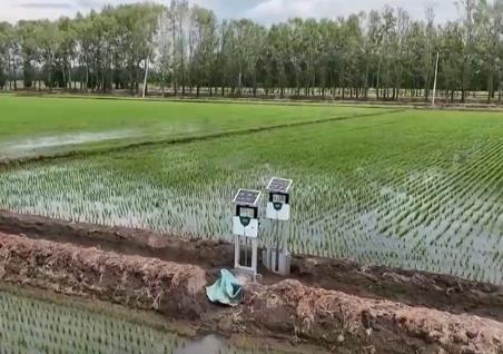抓夏管 提單產 夯實秋糧豐收基礎