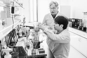 黑龍江發布成果轉化改革攻堅方案