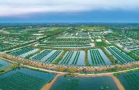 湖北支持做大做強特色產業 打造10個全國知名“特色之鄉”