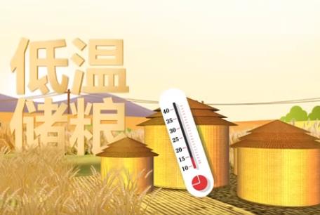 保質保鮮 科學儲糧守好“大國糧倉”