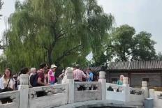 政策紅利深度釋放激活文旅市場潛力 “China Travel”持續升溫解鎖多樣中國