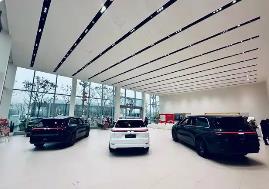上半年新勢力車企銷量大洗牌 零跑鴻蒙理想高居前三名