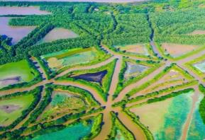 廣東濕地總面積約190萬公頃 保護宣傳周活動啟動