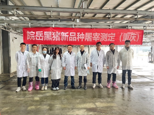 點贊表揚：“皖芯”系列液相芯片問世 助力安徽種業振興！