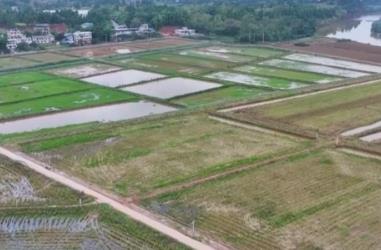 稻漁綜合種養、深遠海養殖 新產業、新模式打開富民增收“新路徑”