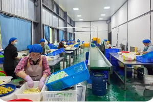 云南：打通跨省調劑通道 高效盤活閑置資產