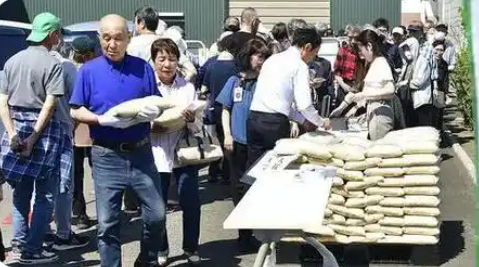 日本多地嚴重缺水 水稻產區面臨“新米危機”