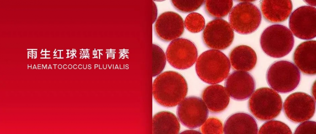 中外科學家研究力證：天然蝦青素為糖尿病防治提供科學支撐