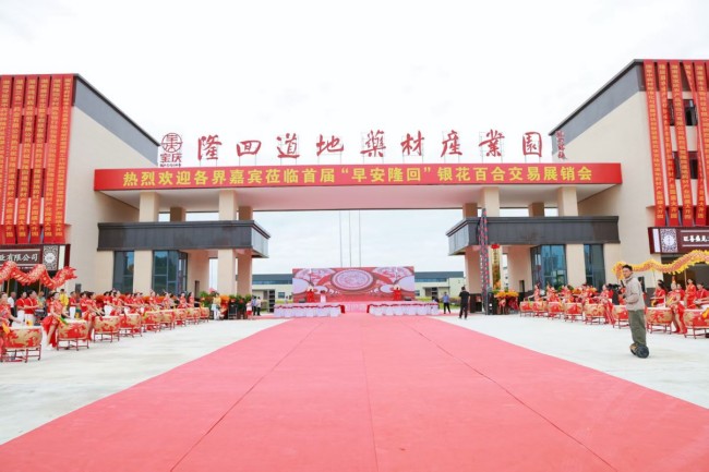 隆回以“中藥材”為筆，繪就鄉村振興百億圖景