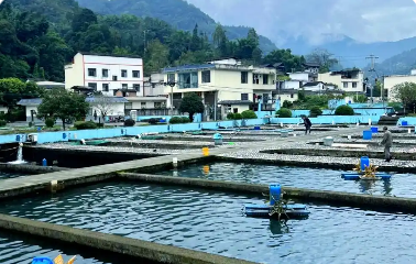 四川三地協作聯動助推設施漁業與大水面生態漁業發展