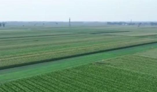 各地加強田管 夯實秋糧穩產基礎