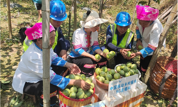 從瑤寨到邊境，中國移動十年電信普遍服務助城鄉蝶變