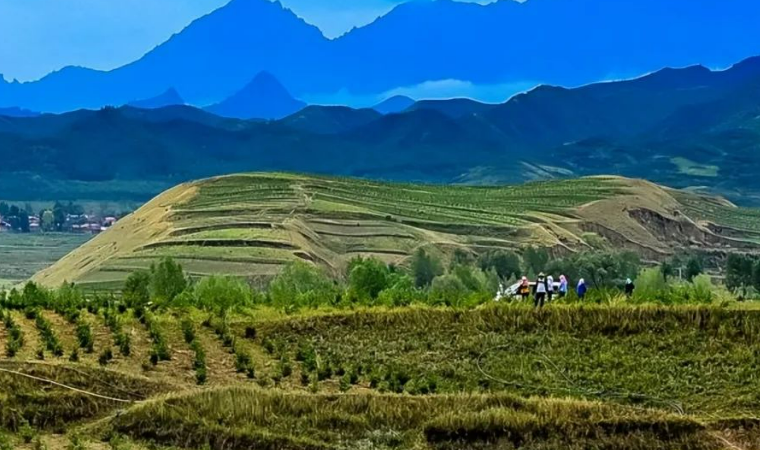 聚焦“三北”工程，國務院作出新部署