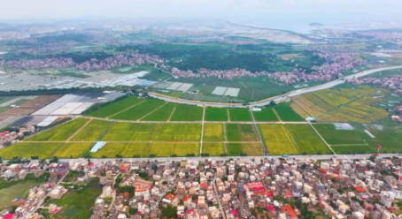 科技扎根田野間 多地探索農業高質量發展新路徑