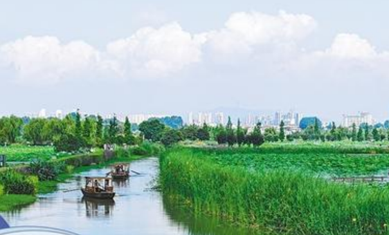 云南曲靖：吃清涼飯享暖心游