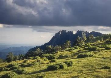 中國暑期旅游新趨勢：“主題奔赴”帶動消費熱潮
