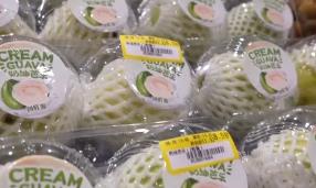 “甜蜜產業”出海“闖世界”圈粉無數 透過大數據解鎖消費新趨勢