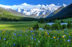 天山南北風光好 暑期旅游市場熱