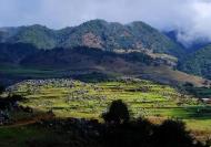 四川攀枝花林旅融合促振興