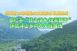 粵黔協作發布18條鄉村農文旅特色路線