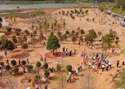 廣東建立30個省級“互聯網+全民義務植樹”基地