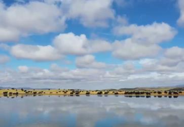 中秋國慶“雙節同慶”熱潮涌動 國內游出境游雙雙攀升