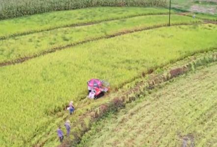 “科技+”為農業現代化插上騰飛的翅膀 良種良機良法繪就金秋好“豐”景