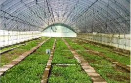 陜西出臺農業企業梯度培育三年行動方案