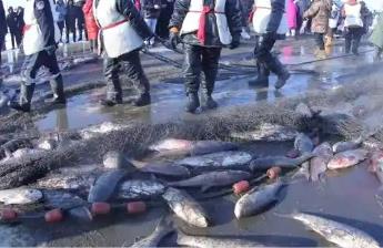 黑龍江佳木斯：冷水魚“鮮”行全國