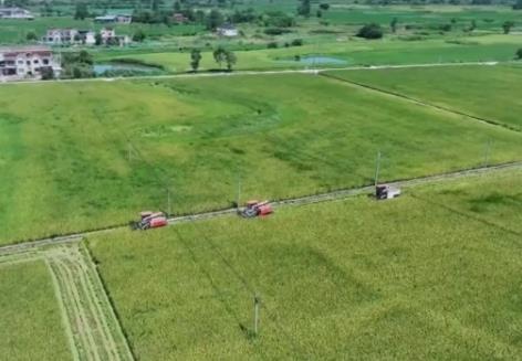 “真金白銀”支持“工具箱”幫扶 強農惠農富農讓億萬農民得實惠