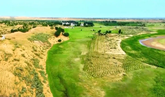 5年防沙治沙超6500萬畝 荒漠變綠洲內蒙古付出了哪些努力