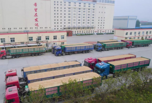 農發行夏津縣支行：精準服務政協委員企業，信貸資金助力夏糧收購