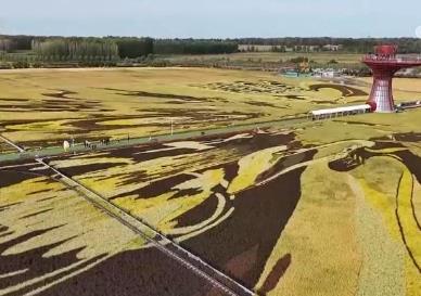 淄博→爾濱→天水 “網紅城市”“火爆出圈”后如何“四季長紅”？