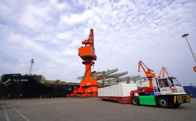 穩步增長！山東省港口集團海鐵聯運賦能區域發展