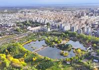 甘肅民樂縣：高位推動招商引資重點項目落地建設