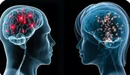 叩開大腦奧秘之門 “高清腦圖譜”實現新跨越